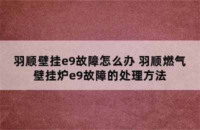 羽顺壁挂e9故障怎么办 羽顺燃气壁挂炉e9故障的处理方法